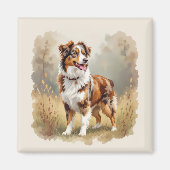 Australian Shepherd Dog Red Merle Aussie マグネット (正面)