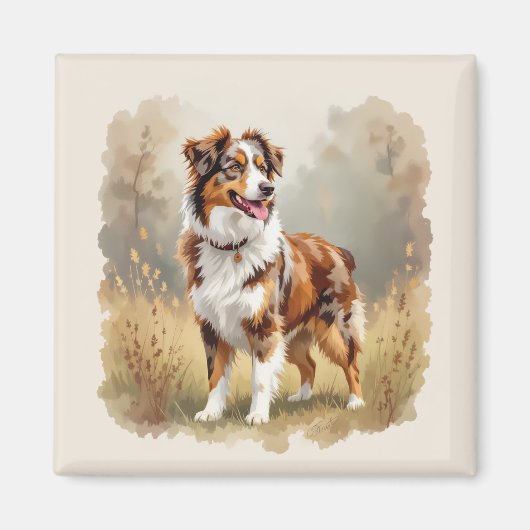 Australian Shepherd Dog Red Merle Aussie マグネット (正面)