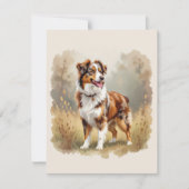Australian Shepherd Dog Red Merle Aussie 招待状 (正面)