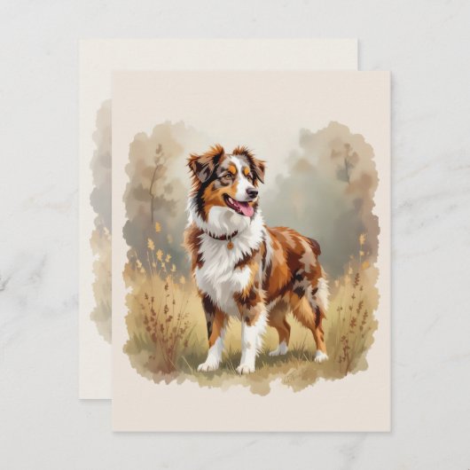 Australian Shepherd Dog Red Merle Aussie 招待状 (正面/裏面)