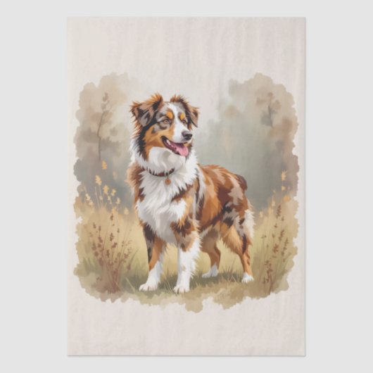 Australian Shepherd Dog Red Merle Aussie 薄葉紙 (正面)