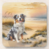 Australian Shepherd in a Beach Cove コースター (正面)