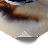 Australian Shepherd Kopf - ポスター (角)