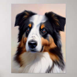 Australian Shepherd Kopf - ポスター
