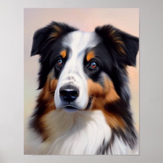 Australian Shepherd Kopf - ポスター (正面)