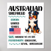 Australian Shepherd Origin Funny Aussie Dog Lover  ポスター (正面)