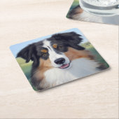 Australian Shepherd Portrait  -  スクエアペーパーコースター (アングル)