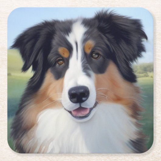 Australian Shepherd Portrait  -  スクエアペーパーコースター (正面)