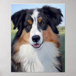 Australian Shepherd Portrait - ポスター