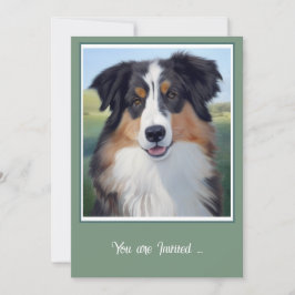 Australian Shepherd Portrait  -  招待状