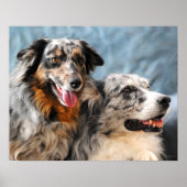 Australian Shepherd Portrait Fine Art Print ポスター (正面)