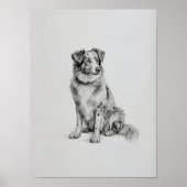 Australian Shepherd Print, Aussie Dog Sketch, PRIN ポスター (正面)