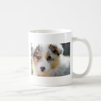 Australian shepherd puppy コーヒーマグカップ