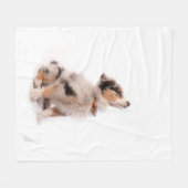 Australian shepherd puppy フリースブランケット (正面(横))