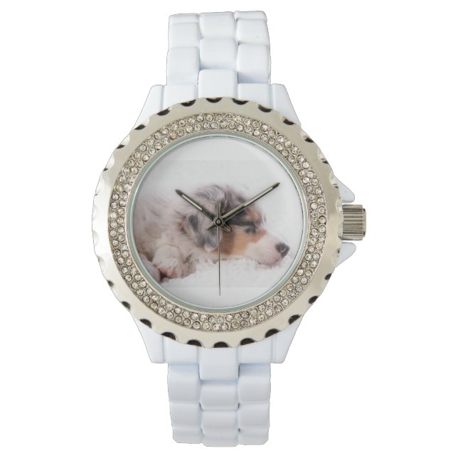 Australian shepherd puppy 腕時計 (正面)