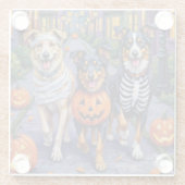 Australian Shepherd Trick-or-Treating in Halloween ガラスコースター (裏面)