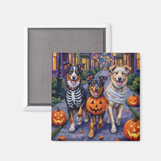 Australian Shepherd Trick-or-Treating in Halloween マグネット (正面/裏面)
