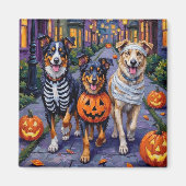 Australian Shepherd Trick-or-Treating in Halloween マグネット (正面)