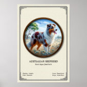 Australian Shepherd Zoology Series ポスター (正面)