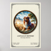 Australian Shepherd Zoology Series ポスター (正面)