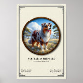 Australian Shepherd Zoology Series ポスター (正面)
