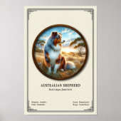 Australian Shepherd Zoology Series ポスター (正面)