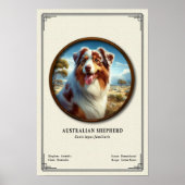 Australian Shepherd Zoology Series ポスター (正面)