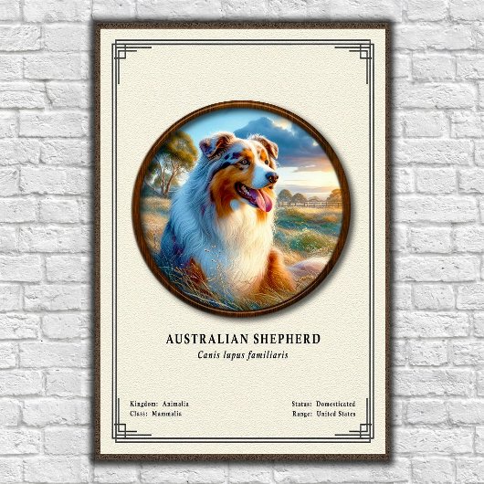 Australian Shepherd Zoology Series ポスター