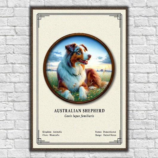 Australian Shepherd Zoology Series ポスター
