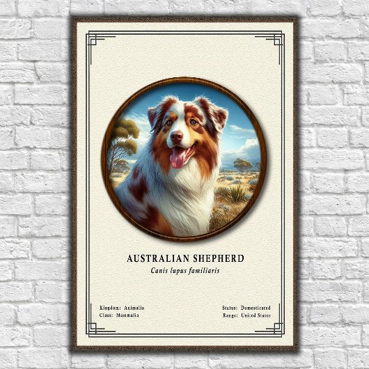 Australian Shepherd Zoology Series ポスター