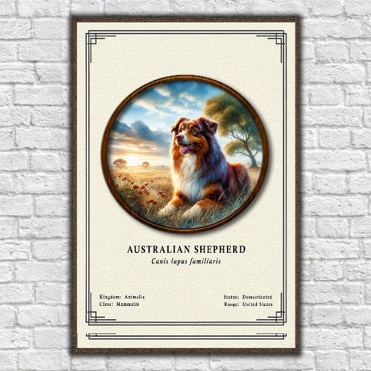 Australian Shepherd Zoology Series ポスター