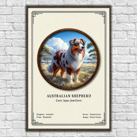 Australian Shepherd Zoology Series ポスター