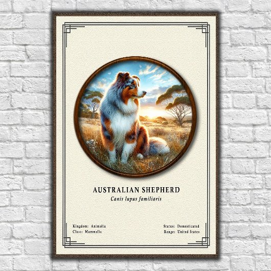 Australian Shepherd Zoology Series ポスター