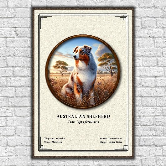 Australian Shepherd Zoology Series ポスター