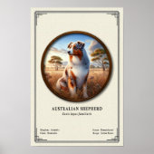 Australian Shepherd Zoology Series ポスター (正面)