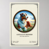 Australian Shepherd Zoology Series ポスター (正面)