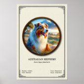 Australian Shepherd Zoology Series ポスター (正面)