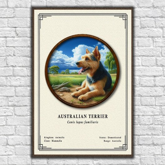 Australian Terrier Zoology Series ポスター