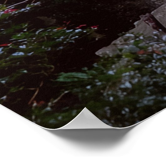 Australian WaterFall ポスター (角)