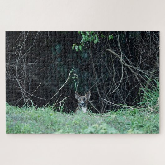 Australian Wildlife Dingo Puppy  ジグソーパズル (横)