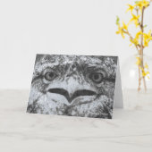 Australian Wildlife, Nature's Curmudgeon, Animal カード (黄色い花)