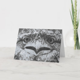 Australian Wildlife, Nature's Curmudgeon, Animal カード