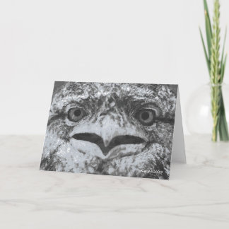 Australian Wildlife, Nature's Curmudgeon, Animal カード