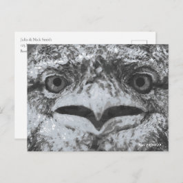 Australian Wildlife, Nature's Curmudgeon, Animal ポストカード