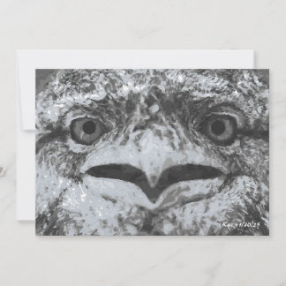 Australian Wildlife, Nature's Curmudgeon, Animal 招待状