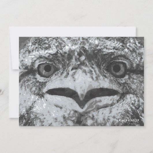 Australian Wildlife, Nature's Curmudgeon, Animal 招待状 (正面)