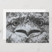 Australian Wildlife, Nature's Curmudgeon, Animal 招待状 (正面/裏面)