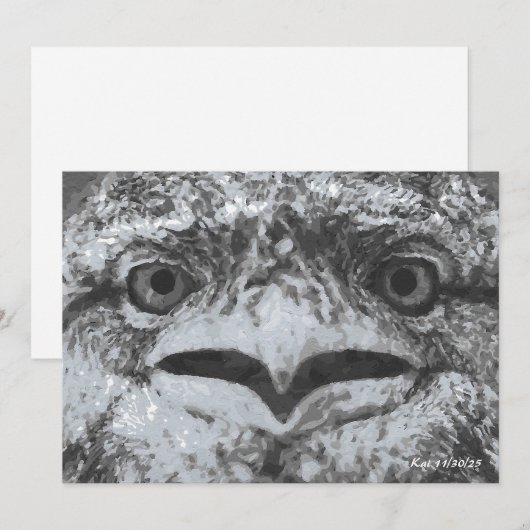 Australian Wildlife, Nature's Curmudgeon, Animal 招待状 (正面/裏面)