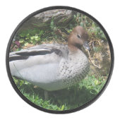 Australian Wood Duck in Tranquil Garden アイスホッケーパック (正面)