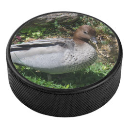 Australian Wood Duck in Tranquil Garden アイスホッケーパック